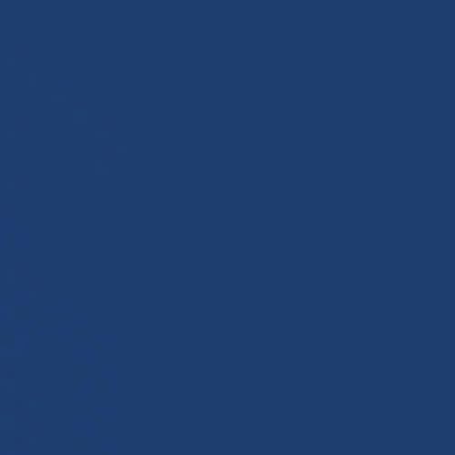 Professional High Performance Gloss Royal Blue Spray Paint (6 Count)