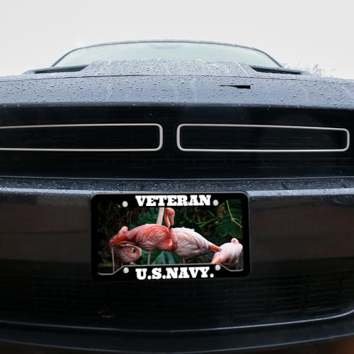 Custom License Plate Frames