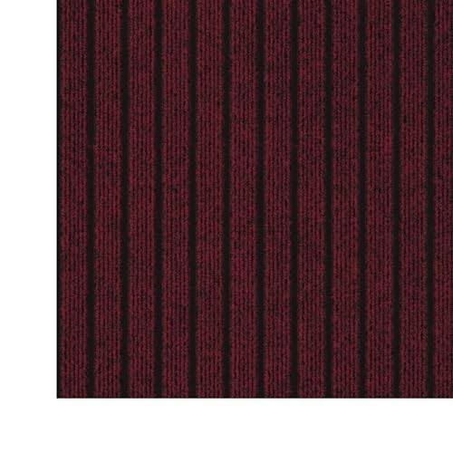2' x 24' Hallway Runner with Scraper Pile
