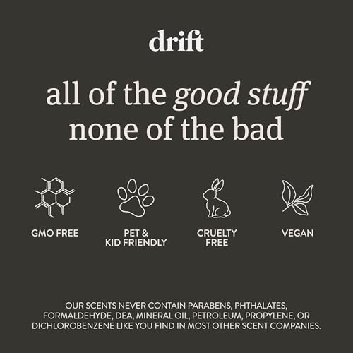 Car Air Freshener (3.4 Ounce)