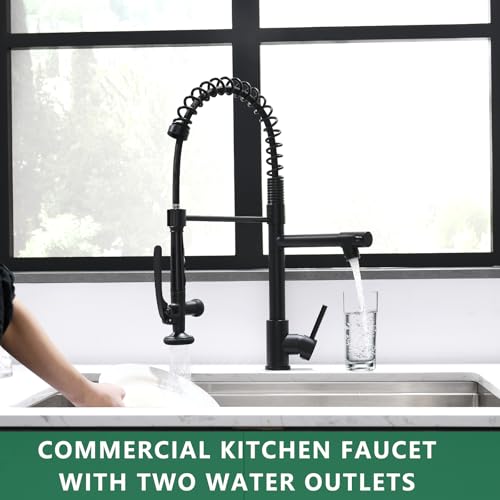 Black Kitchen Faucet