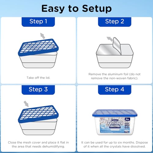 Moisture Absorbers (6 Count)