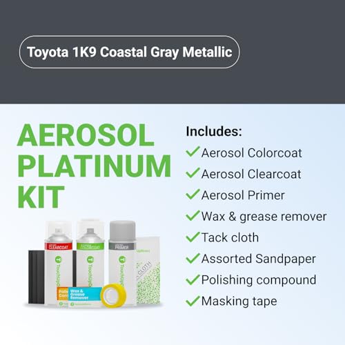 Car Paint Touch Up Spray Kit