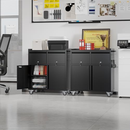 Metal Tool Cabinet with 2 Drawers