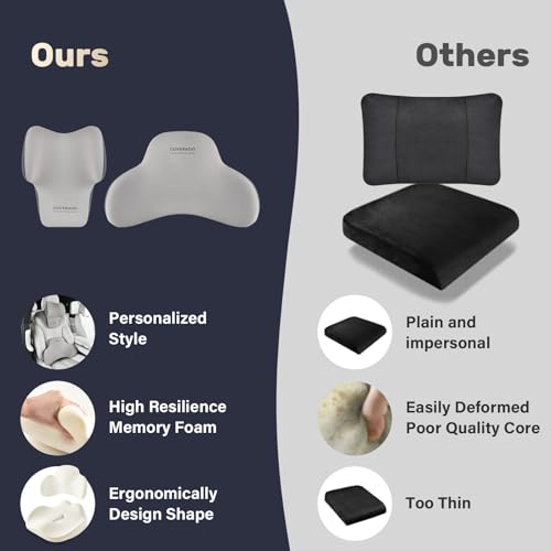 Lumbar Support Pillow and Car Neck Pillow (2 Count)