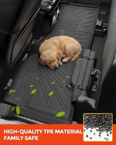 Floor Mats for Ford F150 SuperCab