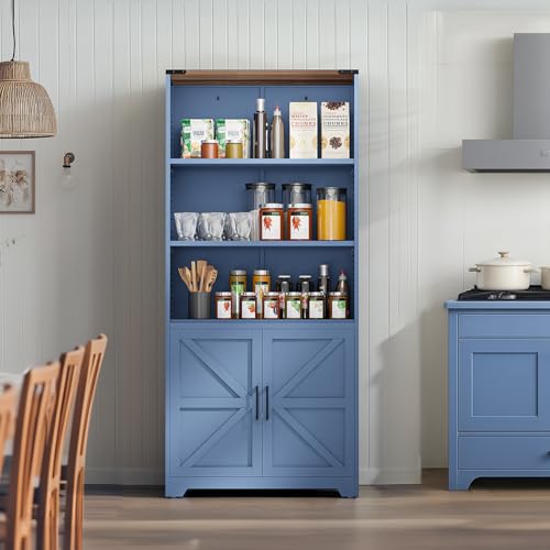 Blue Bookcase with Doors and Adjustable Shelves