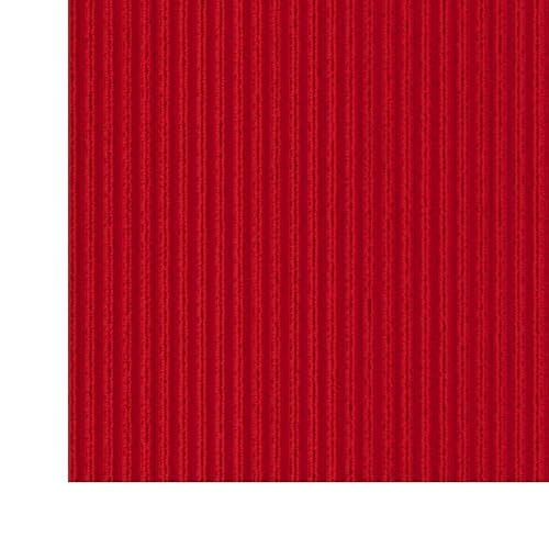 2' x 13' Hallway Runner with Scraper Pile