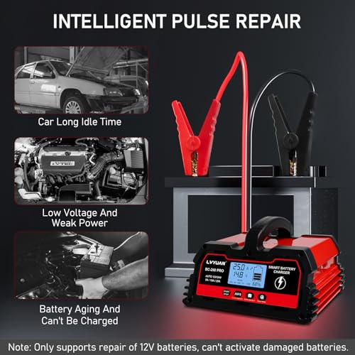 25Amp Smart Car Battery Charger