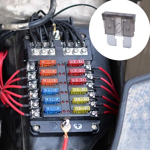 100 Pack Auto Fuses 2 AMP ATC