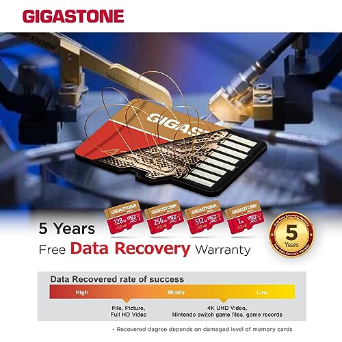 for Switch 1 Only】 GIGASTONE 256GB Micro SD Card