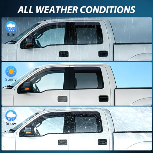 in Channel Rain Guards for Ford F150 Crew Cab 2009 (4 Count)