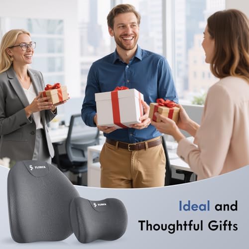 Lumbar Support Pillow and Neck Pillow for Office Chair Car