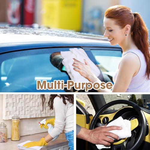 30 Pcs 16 x 16 Inch Edgeless Microfiber Plush Towels for Cars Detailing Drying Wash Polishing Absorbent Cleaning Cloths (30 Count)