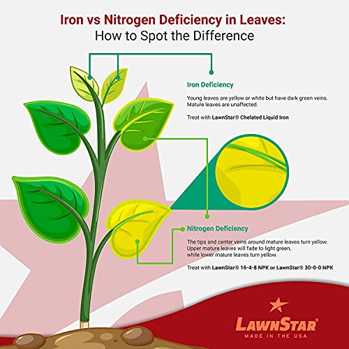 Liquid Iron for Lawns (128 Fl Oz)
