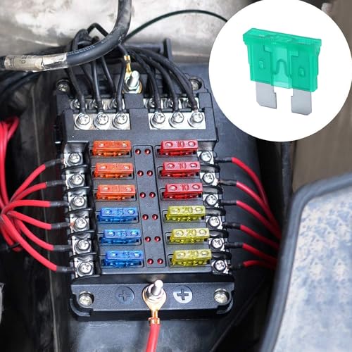 100 Pack Auto Fuses 30 AMP ATC