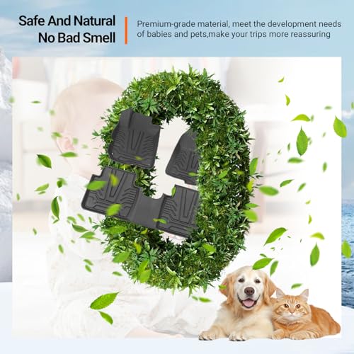Floor Mats Cargo Mat Compatible with 2017