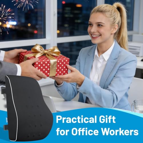 Lumbar Support Pillow for Office Chair