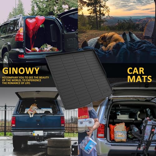 Floor Mats & Cargo Liner for Honda Passport 2019