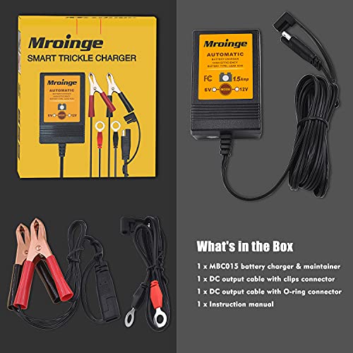 Smart Battery Charger
