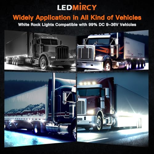 White Rock Lights (16 Count)
