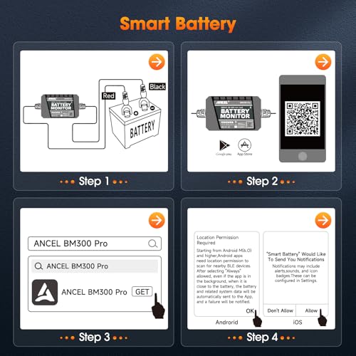 BM300 Pro Battery Monitor