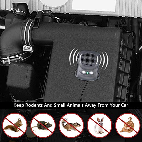 Under Hood Rodent Repellent for Car Engine
