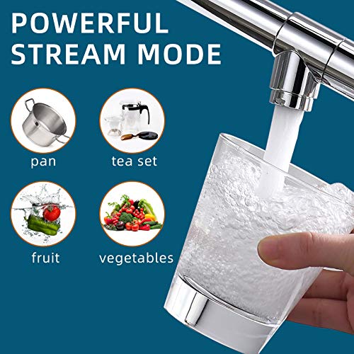 Chrome Kitchen Faucet with Sprayer