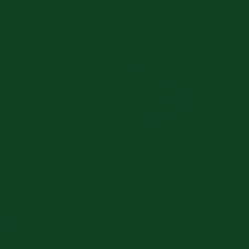Professional High Performance Gloss Hunter Green Spray Paint (15 Ounce)