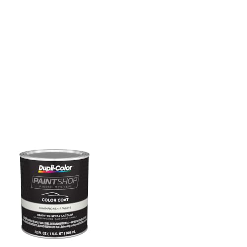 Paint Shop Finish System (32 Fl Oz)