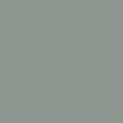 Professional High Performance Stainless Steel Spray Paint (15 Ounce)