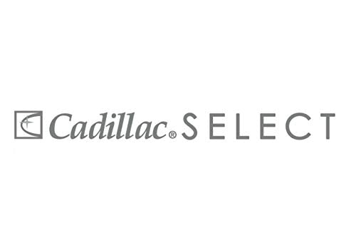 Select Premium Leather Care Kit