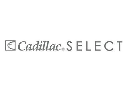 Select Premium Leather Care Kit
