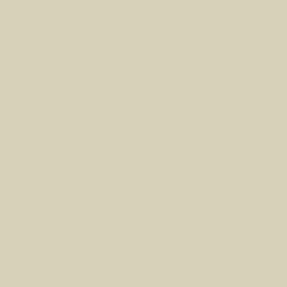Professional High Performance Gloss Almond Spray Paint (45 Ounce)