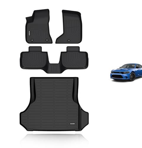 Floor Mats & Cargo Liner for 2011