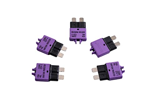 Circuit Breakers E39 Manual (5 Count)