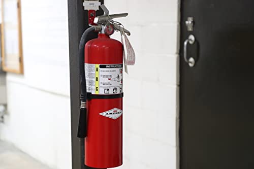 B456 10 lbs ABC Dry Chemical Fire Extinguisher with Wall Bracket