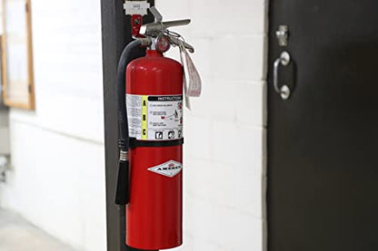 B456 10 lbs ABC Dry Chemical Fire Extinguisher with Wall Bracket
