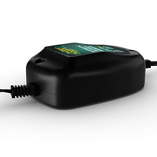 800 is a SuperSmart Battery Charger that will Constantly Monitor