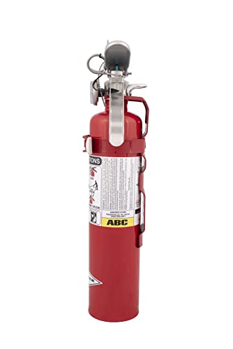 B417T 2.5 lbs ABC Dry Chemical Fire Extinguisher with Wall Bracket (40 Ounce)