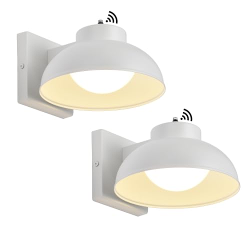 LED Outdoor Wall Lights (2 Count)