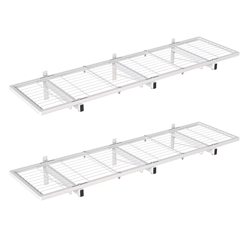 2 Pack Garage Wall Shelving (2 Count)