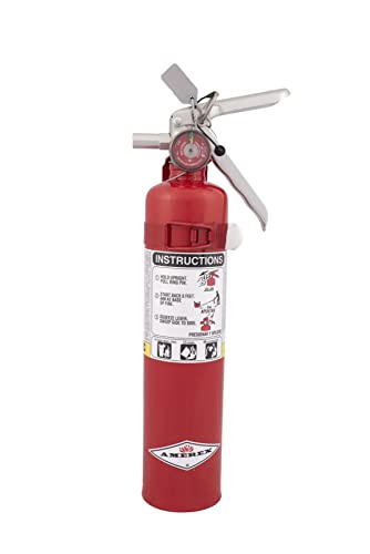 B417T 2.5 lbs ABC Dry Chemical Fire Extinguisher with Wall Bracket (40 Ounce)
