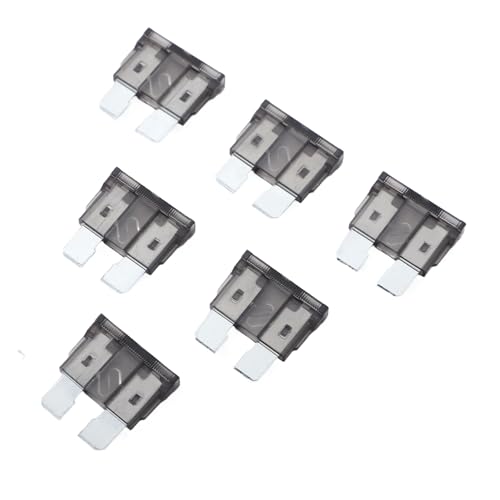 100 Pack Auto Fuses 2 AMP ATC