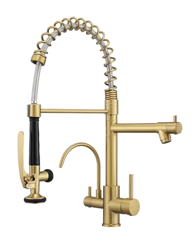 3 Way Kitchen Faucets with Sprayer and Water Filter Brushed Gold
