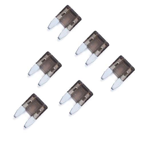 100 Pack Auto Fuses 2 AMP APM (100 Count)