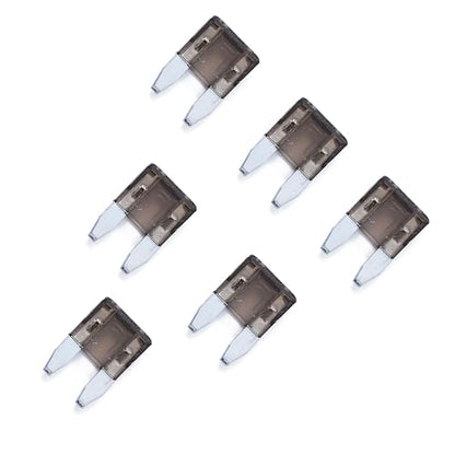 100 Pack Auto Fuses 2 AMP APM (100 Count)