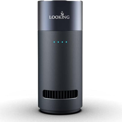 Ozone Generator for Car Odor Removal