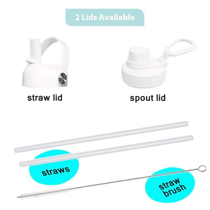 32oz Water Bottle Wide Mouth Stainless Steel Vacuum Insulated Double Wall with 2 Straw Lids Fit in Any Car Cup Holder