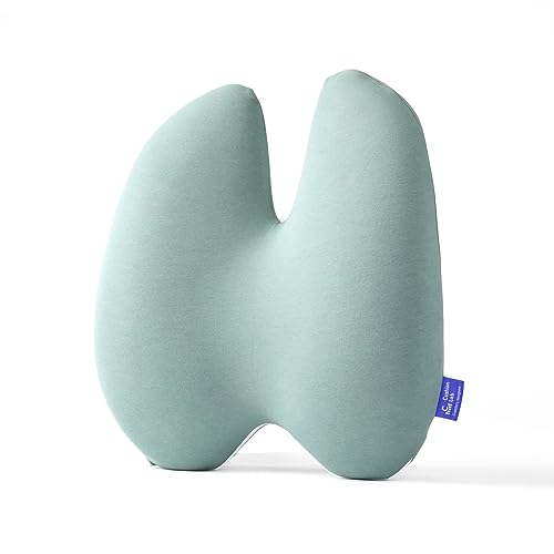 Extra Dense Lumbar Pillow